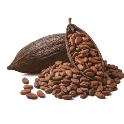 resources of Cocoa Bean exporters