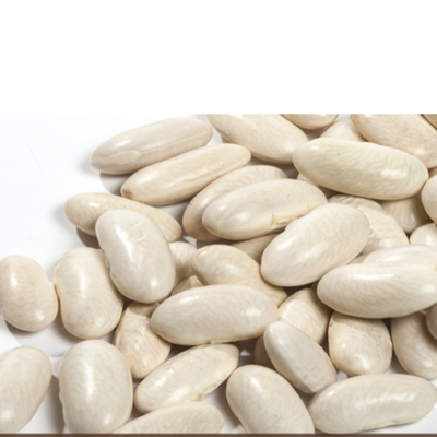 resources of White Kidney Bean exporters