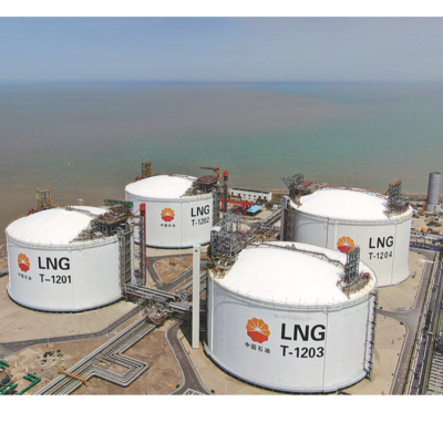 resources of Gas / LNG exporters