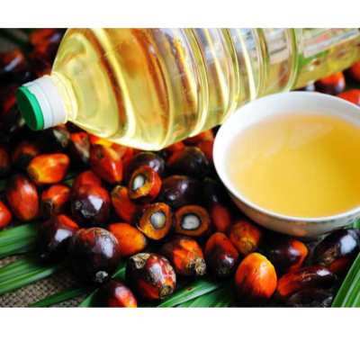resources of PALM OIL exporters