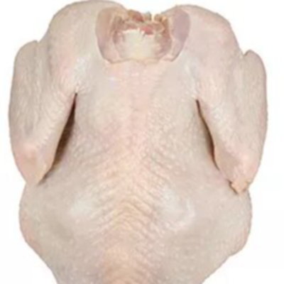 resources of Frozen Whole Chicken (700-2400g) exporters