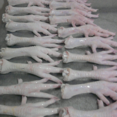 resources of Frozen Chicken Feet 35g Up exporters