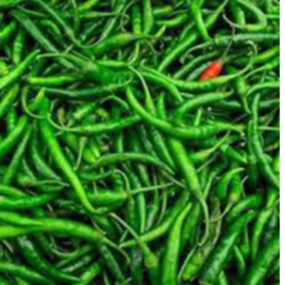 resources of GREEN CHILLY(G4) exporters