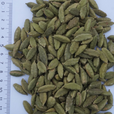 resources of Organic / Conventional Cardamom Jumbo Bold Green exporters