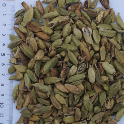 resources of Organic Grinding Grade Cardamom exporters