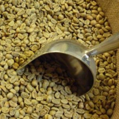 resources of ARABICA AND ROBUSTA COFFEE BEANS, GREEN COFFEE BEANS exporters