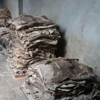 resources of Wet Salted Cow Hides For Export exporters