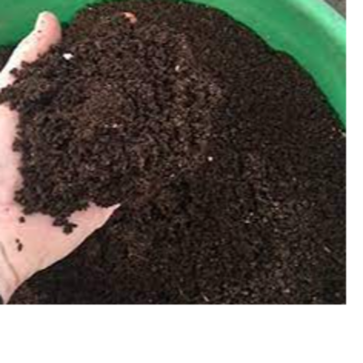resources of Compost exporters