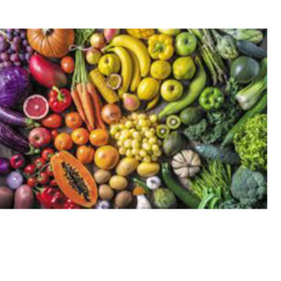 resources of Fruits and Vegetables exporters