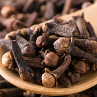 resources of Cloves madagascar exporters