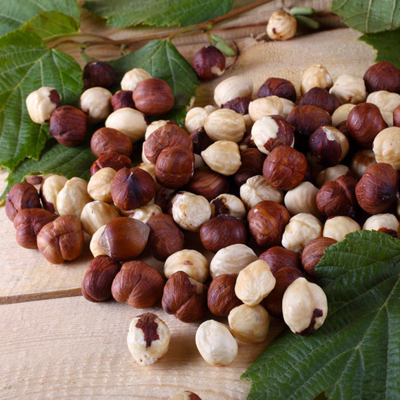 resources of Hazelnuts exporters