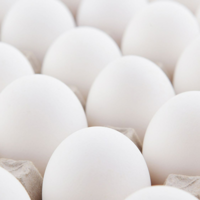 resources of Fresh Chicken White Table Eggs exporters