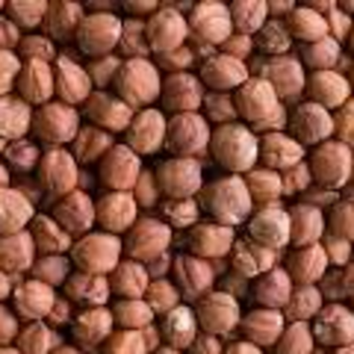 resources of Hazelnut kernels exporters