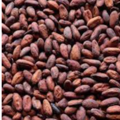 resources of CACAO BEANS exporters
