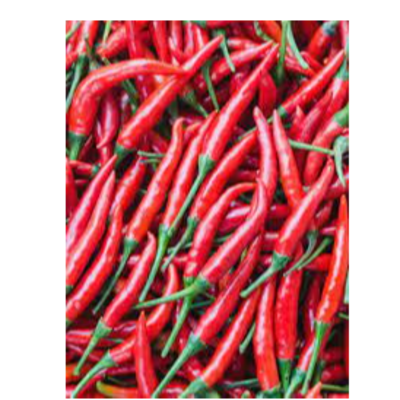 resources of .RED CHILI PEPPERS AND ISOT exporters