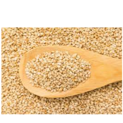 resources of SESAME seeds exporters
