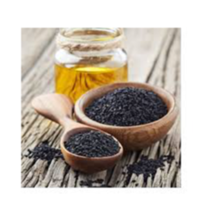 resources of Pure Natural Black Seed Oil COLD PRESS exporters
