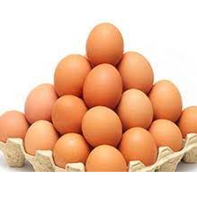 resources of Chicken Eggs exporters