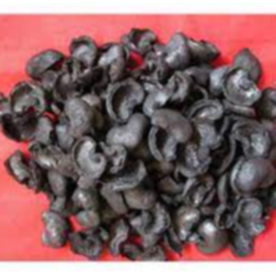 resources of CASHEW SHELL exporters
