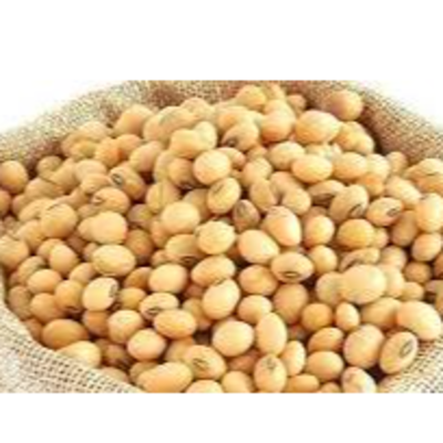 resources of SOYA BEAN exporters