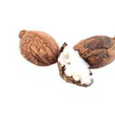 resources of SHEA NUT exporters