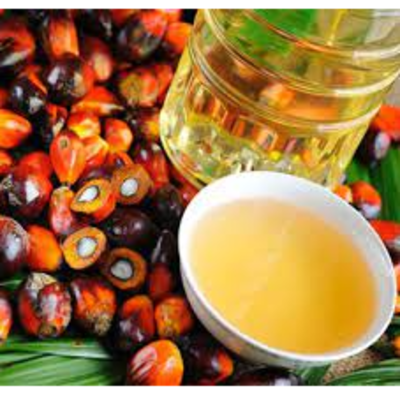 resources of Palm Oil (PKO) exporters
