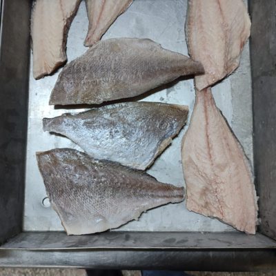 resources of Fish fillets exporters