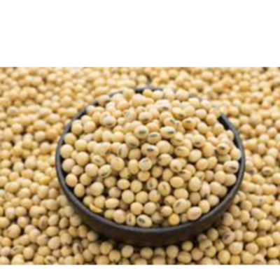 resources of Soybeans(GMO, NON- GMO) exporters