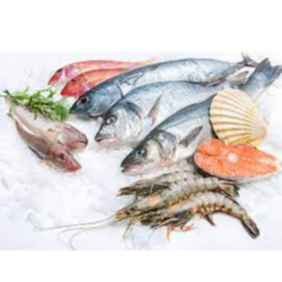 resources of Frozen fish, shrimps and others exporters