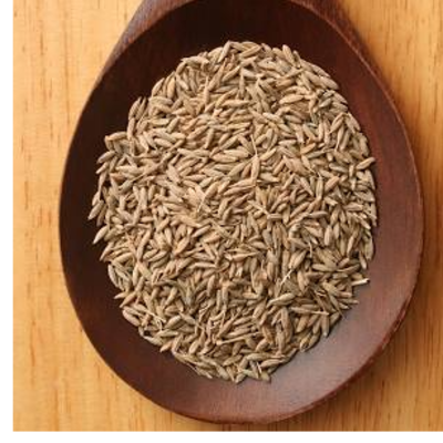 resources of Cumins seeds exporters
