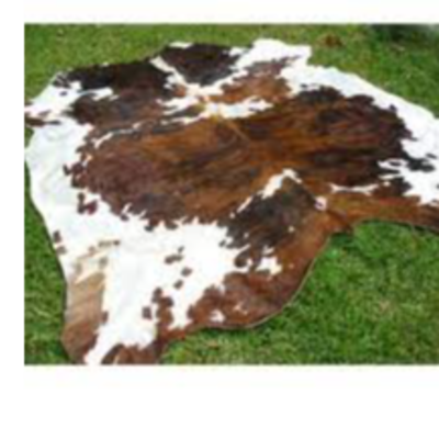 resources of Wet and dry cow hides and skin exporters