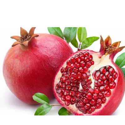 resources of Pomegranate exporters