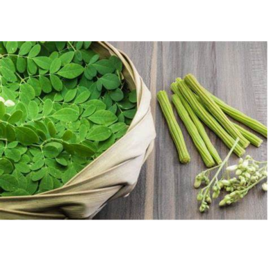 resources of Fresh Moringa and Drumstick exporters