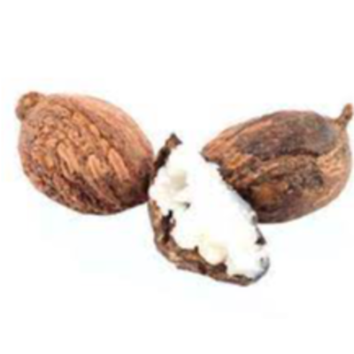 resources of shea nuts exporters