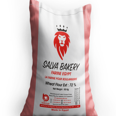 resources of Whole Wheat Flour 50 kg t55 Salva Bakery Brand Flour Egyptian Product Atta Chakki  ISO Certified Bulk Price exporters