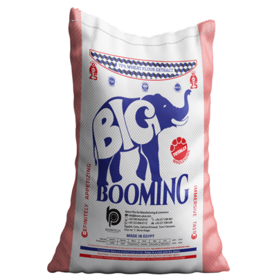 resources of Big BOOMING 25 KG FLOUR  best price high quality Egyptian flour exporters