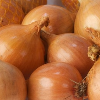 resources of fresh Yellow and red onions exporters