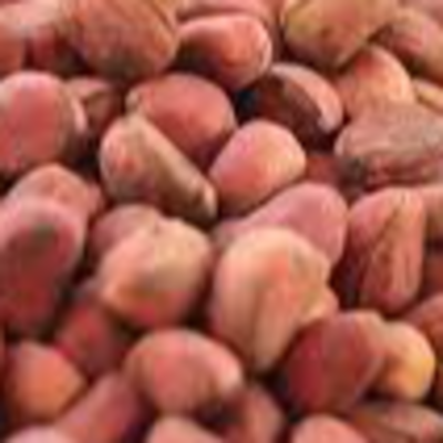 resources of kolanut exporters
