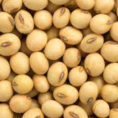 resources of soybean exporters