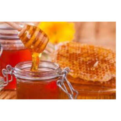 resources of Fresh Organic Raw Honey exporters