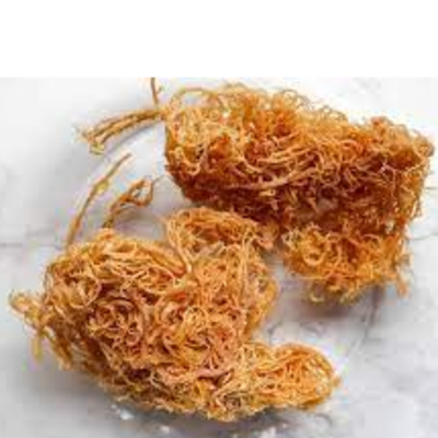 resources of Dried Sea Moss exporters