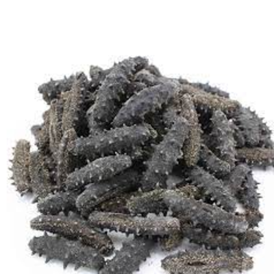 resources of Dried And Frozen Sea Cucumber exporters