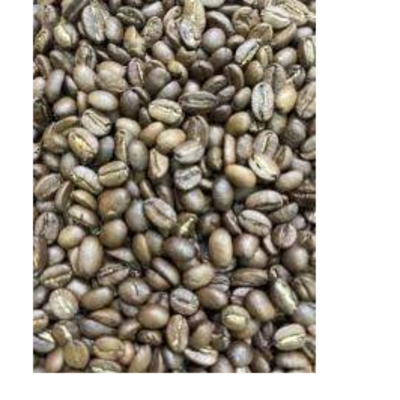 resources of Araku coffee seeds parchment n roasted exporters
