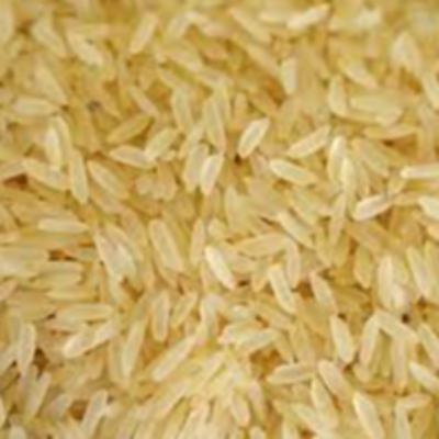 resources of paraboilid rice exporters