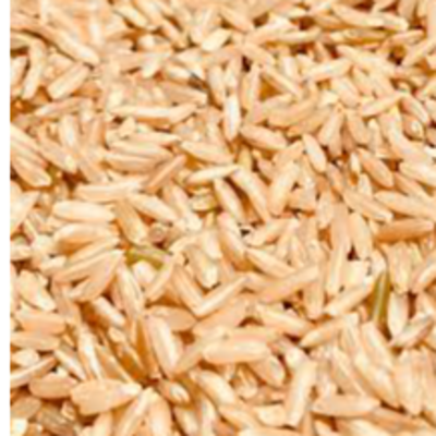 resources of brown rice exporters