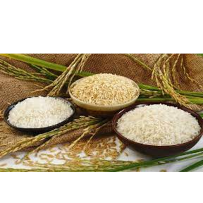 resources of organic rice exporters