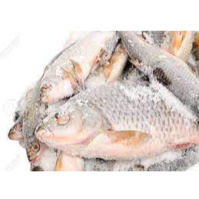 resources of Frozen Fish exporters