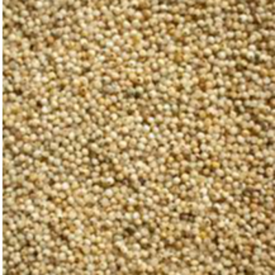 resources of Millet exporters