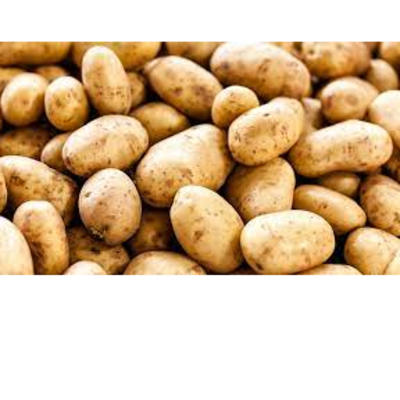 resources of potato exporters