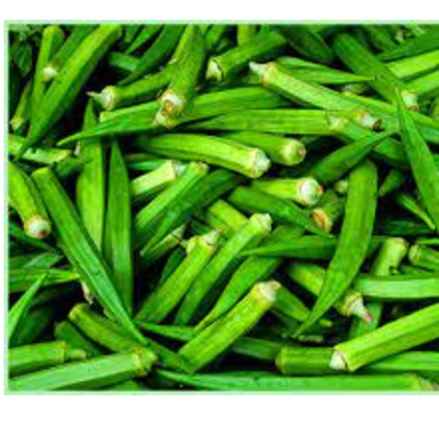 resources of LADY FINGER exporters